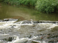 Nyköpingsån - Hamnen